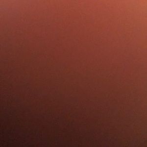 Meet your Posher, Parion